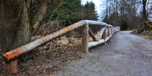 Photo of a nature trail
