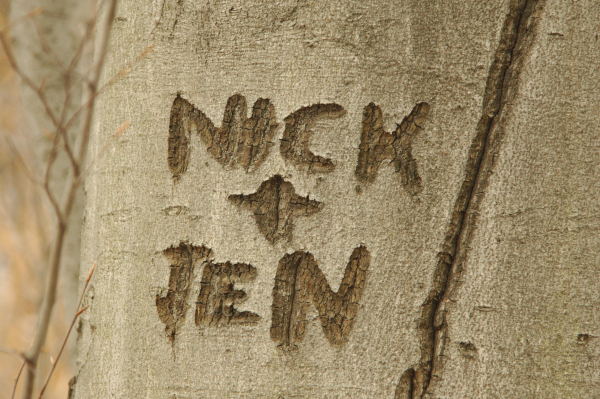 Photo showing names carved in tree trunk